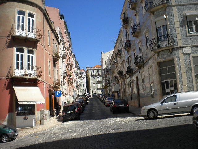 my new hood